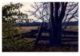 Along the Rail Spesialversjon av Norman R. Brown