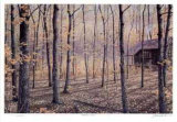 Woodland Retreat Limited Edition by J. Vanderbrink Woodland Retreat Limited Edition by J. Vanderbrink