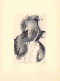 An Iris for Lisa Limited Edition by Baskin 