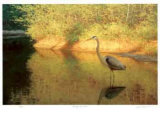 Spring Reflections Limited Edition by Claudio D'Angelo