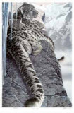 High and Dry Limited Edition by R. V. Stanley