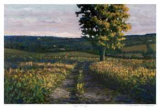 Maple Morning Limited Edition by Norman R. Brown