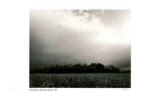 Warkworth, Ontario Limited Edition by Simeon Posen