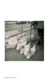 Store Window Limited Edition by Rick Zolkower