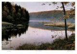 Autumn Shores Limitierte Auflage von J. Vanderbrink