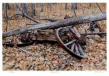 End of the Trail Limited Edition by Robert Pellelt