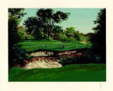 Merion  16 Limited Edition by Mark King