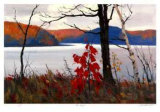 Red Maple Limited Edition by Murray Stuart Red Maple Limited Edition by Murray Stuart