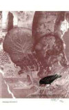 Pertaining to the Earth 4 Limited Edition by R. Baird