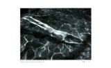 Underwater Swimmer Limitierte Auflage von Andre Kertesz