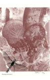 Pertaining to the Earth #3 Spesialversjon av R. Baird