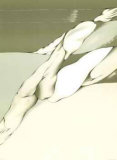Virtual Grey and White Limited Edition by Toral 
