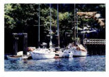 Fulford Harbor Limited Edition by Wylie 