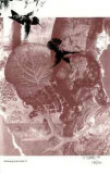 Pertaining to the Earth #2 Spesialversjon av R. Baird
