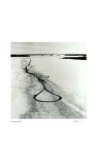 Untitled - Lasso Path Edition limitée par B. A. King