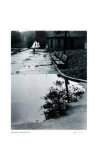Homing Ship Limited Edition by André Kertész