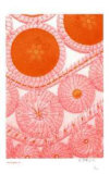 Step Lightly 1 Limited Edition by R. Baird