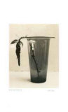 Floral 6 Limited Edition by Adriene Veninger