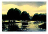 Summer Afternoon Limited Edition by McNeely 