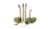 Asparagus and Minature Artichokes Limitierte Auflage von Pamela Stagg