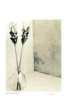 Floral 3 Edition limitée par Adriene Veninger