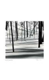 Untitled (trees in snow) Limited edition van Morry Katz