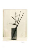 Floral 7 Limited Edition by Adriene Veninger