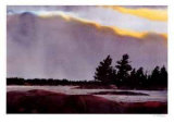 Pine Island Limited Edition by McNeely 