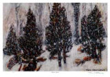 Snow Mist Limited Edition by Tom Mathews