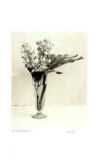 Floral 9 Limited Edition by Adriene Veninger