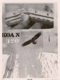 Koan 320 Limited Edition by Carl Beam