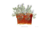 Trailing Lavender Limited Edition by Pamela Stagg