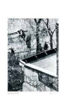 (Ohne Titel) Limitierte Auflage von Andre Kertesz