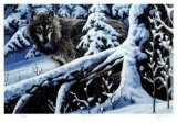 Silent Snowfall Limited Edition by Cyril Cox
