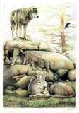 Wolfsfamilie Limitierte Auflage von Robert Pow