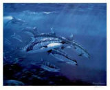 Pacific Whitesides Edition limitée par Bruce Muir