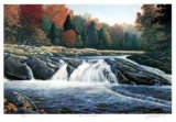 Gull River Falls Limitierte Auflage von J. Vanderbrink