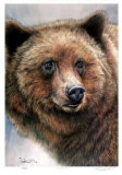 Grizzly Bear Limited Edition by Robert Pow