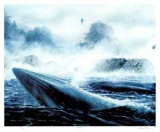 Leviathan Limited Edition by Bruce Muir