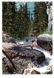 Montana Spring Limited Edition by R. V. Stanley