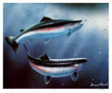 Coast Rainbows Edition limitée par Bruce Muir