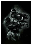 Teal Ducks Limited Edition by Robert Pow