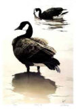 Fluffing Up Limited Edition by Carl Arlen