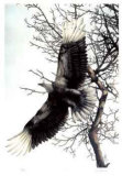 One of a Kind Limited Edition by Carl Arlen
