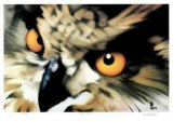 Great Horned Limited Edition by Carl Arlen