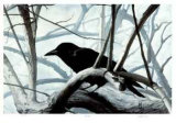 Raven Limited Edition by Carl Arlen