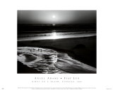 Birds on a Beach Kunstdrucke von Ansel Adams
