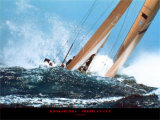 Kookaburra - America`s Cup Posters by Carlo Borlenghi