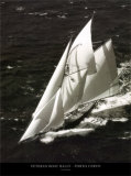 Veteran Boat Rally - Porto Cervo Art by Carlo Borlenghi