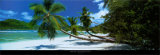 Mahe, Seychelles Art by Harris Granville